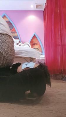 【嗯哼】长靴辱狗 bf22816