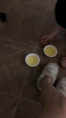 【宝爷】起床后贱狗伺候 bf22245