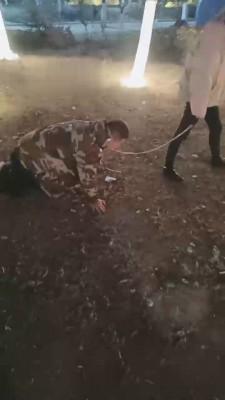 【重度刑奴】素人姐姐户外遛狗 bf22195