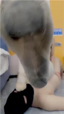 【九莲】双S舞蹈生-轮流骑马踩踏/坐脸窒息 bf43660