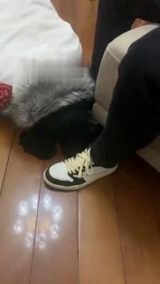 【最贱母狗】脏鞋原味-多S群调闺蜜 bf22148