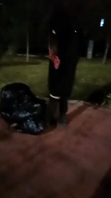 【雨雨大人】深夜路边遛狗 bf21916