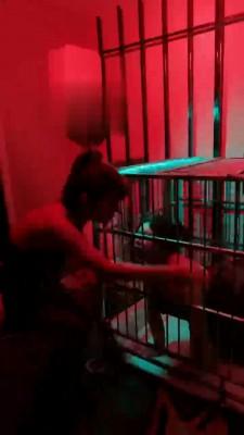 【莉莉丝】囚禁绿帽狗两夫妻【双视角版】 bf21920