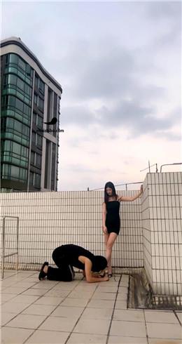 【Fiona菲菲】天台调教尾随狗 bf21488