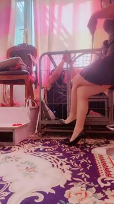 【媚朵S】袜子口球塞嘴狗笼囚禁 bf19835