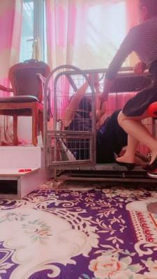 【媚朵S】袜子口球塞嘴狗笼囚禁 bf19835