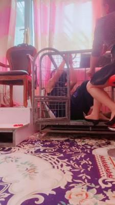 【媚朵S】袜子口球塞嘴狗笼囚禁 bf19835