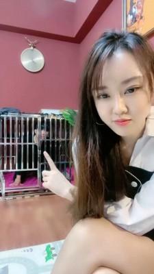 【小祖宗】圈养狗奴日常调 bf19760