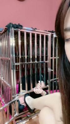 【小祖宗】圈养狗奴日常调 bf19760