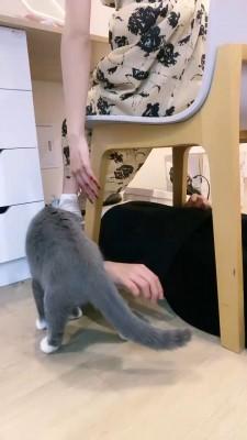 【骨精精】生活化tj贱奴才 bf19736