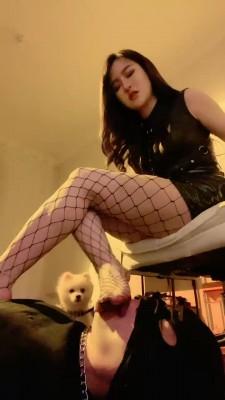 【风吟殿下】日常调教羞辱 bf19657