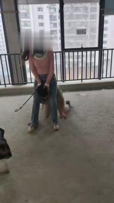 【安琪殿下】双S-废弃工地虐废物【双视角版】 bf19510