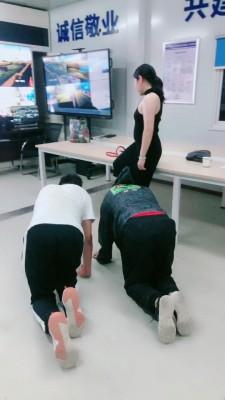 【舞媚】君临天下双狗争霸 bf19523