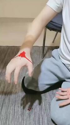 【安静S】狗笼圈养【双视角版】 bf19402