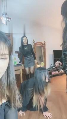 【松紫】全明星阵容调狗 bf19419