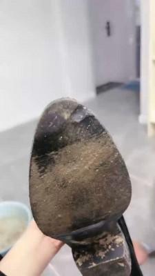 【初见】超脏长靴强制舔 bf19394