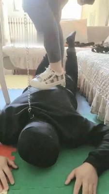 【温柔九月】帆布鞋踩踏坐垫狗 bf19399