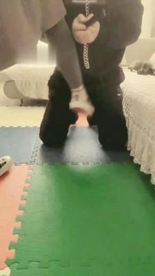 【温柔九月】帆布鞋踩踏坐垫狗 bf19399