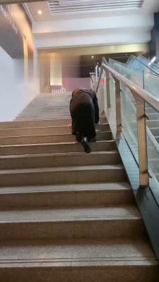 【橘子没熟】母狗闺蜜挑战户外【上】 bf19246