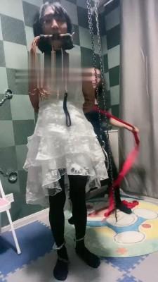 【盈盈】捆绑圈养囚禁狗 bf18734