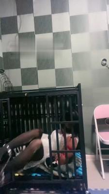 【盈盈】捆绑圈养囚禁狗 bf18734