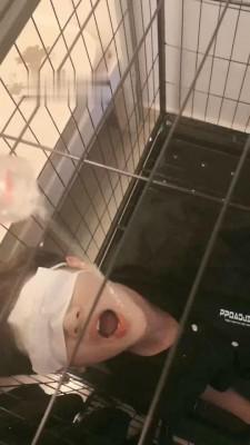 【陌初】多主群调圈养狗【四视角版】 JS220902202