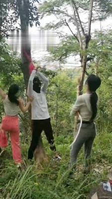 【暴力美学】双S野外吊绑鞭打狗【双视角版】 bf18585