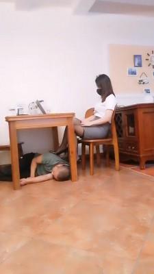 【绯闻王妃】桌底下陪主人办公的狗 bf18306