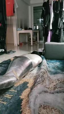 【一一S】保鲜膜包裹窒息踩踏 bf18204