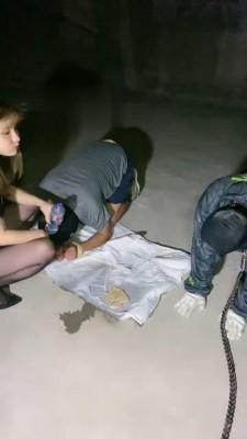 【莉莉丝】古堡囚禁奴隶惩罚 bf18240