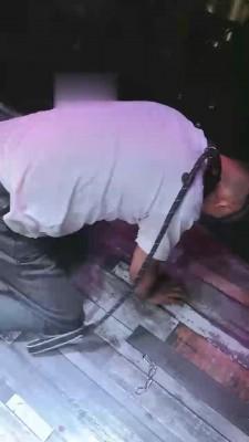 【美帝】带私奴参加聚会 bf18569