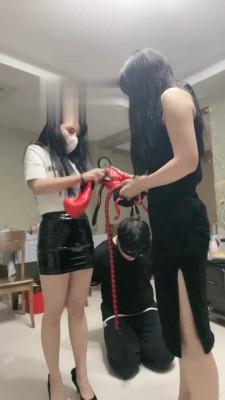 【悠悠大魔王】双S纯暴力调虐【双视角版】 bf18291