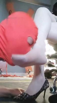 【东营天香百合】奖励看家狗舔脚 bf18419