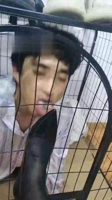 【小猫咪】关在狗笼里的废物狗【双视角】JS22090301