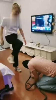 【梦蝶女王】暴力踢踹打宠物 bf17671