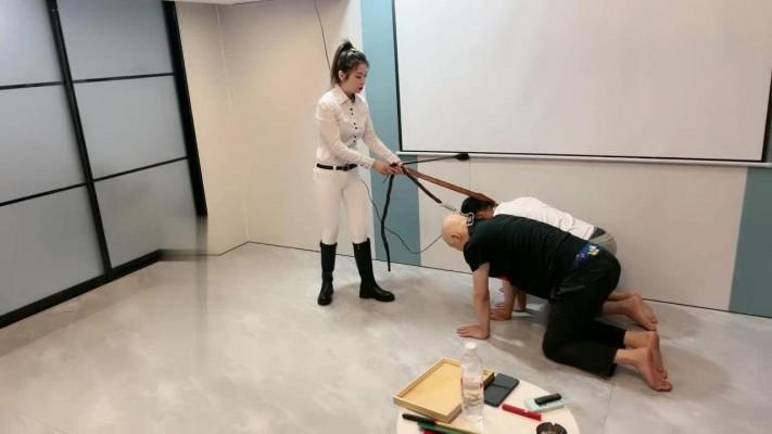 【妍主大大】驯马专场/马术练习 bf17451