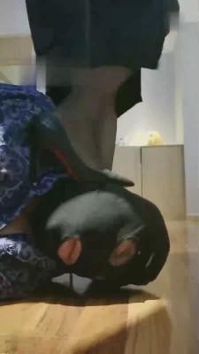 【琴魔】高跟黑丝御姐暴虐贱狗 bf17446