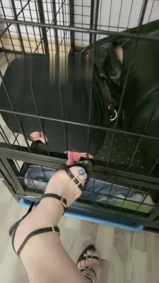 【月影儿】不听话就关进狗笼里虐 bf17378