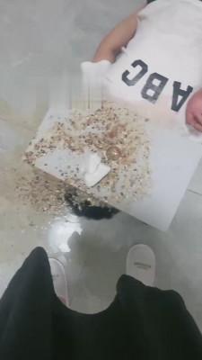 【逗逗】呕吐物强制喂食 bf15661