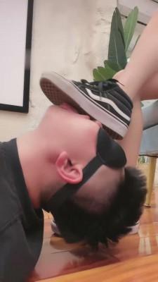 【樱木花椒】白船袜vans羞辱狗 bf15107