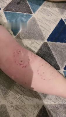 【沅芷大人】双S暴力全体重踩踏【双视角版】 bf14862