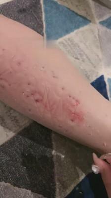 【沅芷大人】双S暴力全体重踩踏【双视角版】 bf14862