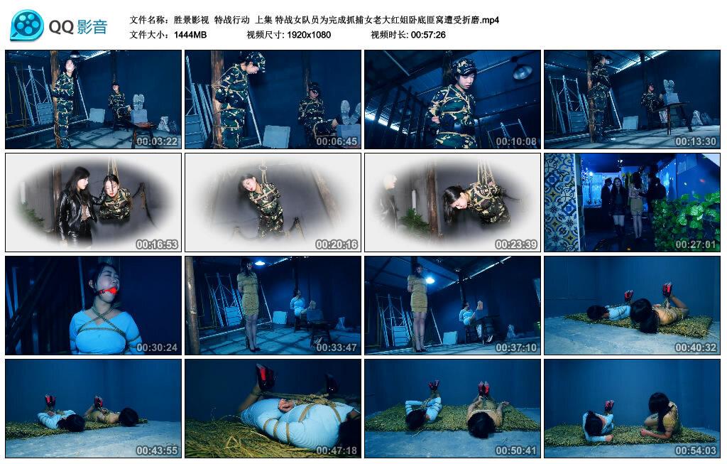 【胜景影视】特战行动 上集