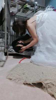 【乐爷】婚纱女王玩游戏 bf14347