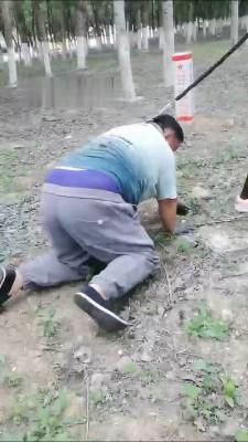 【梦蝶女王】户外骑马玩猪猪 bf14459