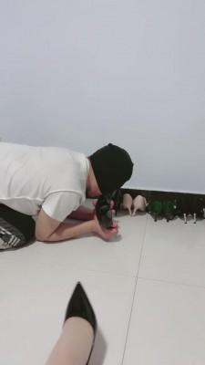 【月小主】训练犬化抖M男友【修复版】 bf14268