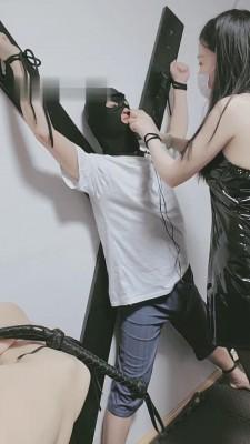 【苏州御姐】把狗吊起来虐打 bf14005