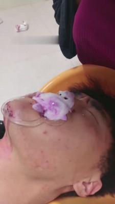 【逗逗】犬化-男人的嘴就是垃圾桶 bf13902