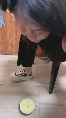 【逗逗】餐厅内生活化k9调教 bf13823