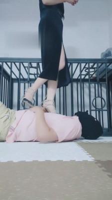 【媚娘】困在狗笼子里的狗 bf13757